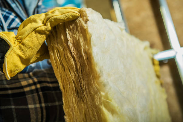 Best Blown-in Insulation in Sheldon, IA
