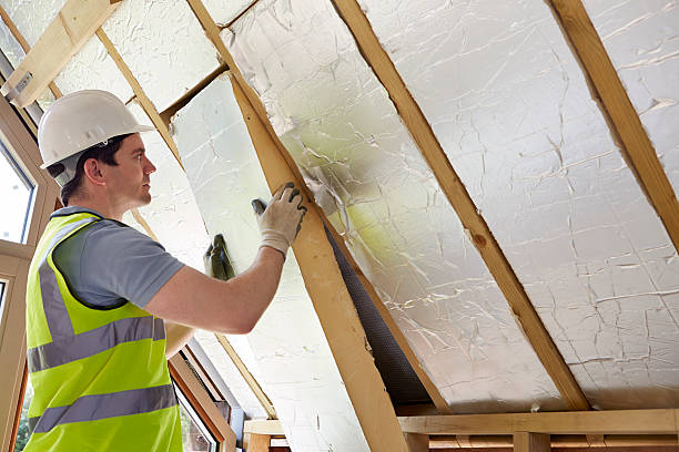Best Specialized Insulation Services in Sheldon, IA
