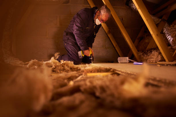 Best Insulation Maintenance and Repair in Sheldon, IA